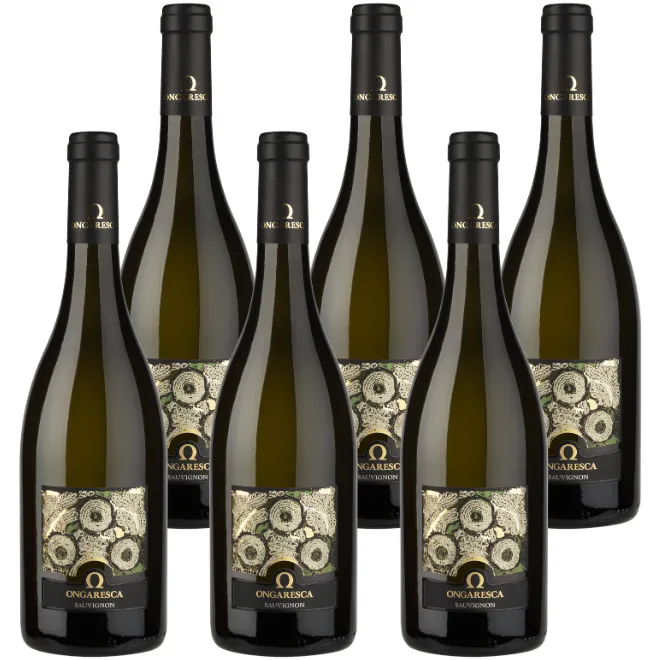 Sauvignon IGT Veneto