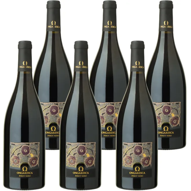 Pinot Nero IGT Veneto