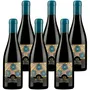 Passito di Merlot IGT Veneto