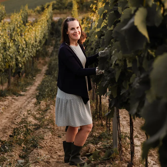 Masterclass Weingut Habersack (Burgenland)  - 16th , 17th  and 18th of october