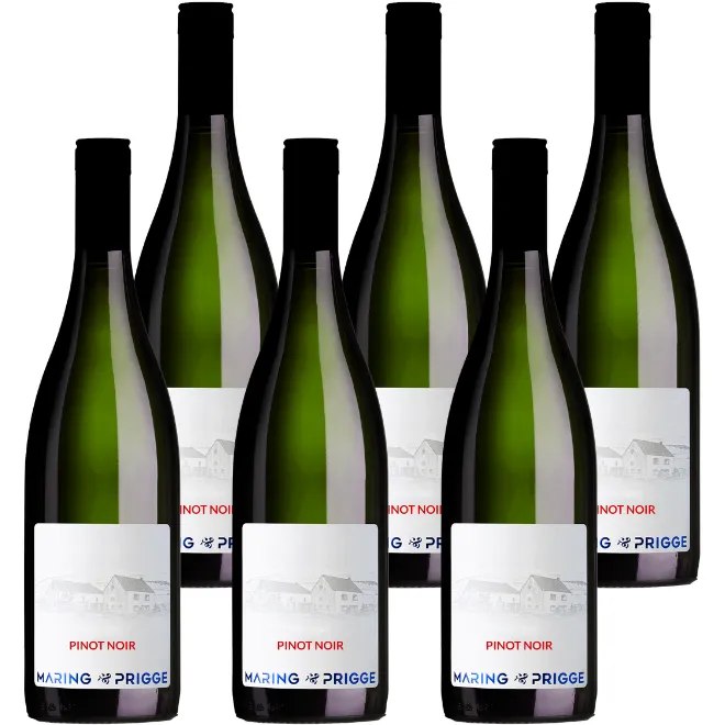 Pinot Noir Trocken 2023