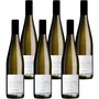 Dhroner Hofberg Riesling Trocken