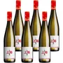 'Shanghai' Riesling Feinherb
