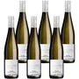 Riesling Steillage Kabinett