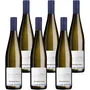Sauvignon Blanc