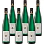 Wiltingen Riesling VDP.Ortswein Trocken