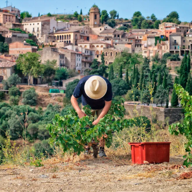 Masterclass Bodega Bravo Escós (Priorat)