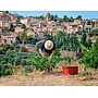 Masterclass Bodega Bravo Escós (Priorat) - 30th, 31st October and 1st November