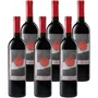 'Saggezza' Colline Novaresi DOC Nebbiolo