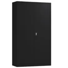 Draaideurkast Depo 195x120x42cm