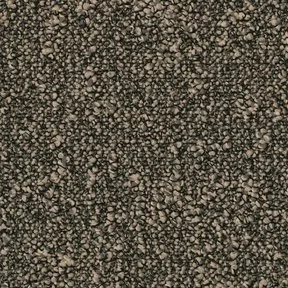 Desso Tarkett Airmaster Tierra Gold