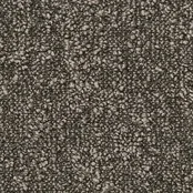 Desso Tarkett Airmaster Tierra Gold Desso Tarkett Airmaster Tierra Gold