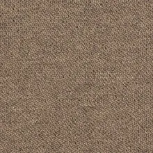 Desso Tarkett Essence