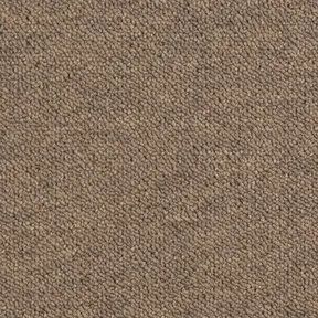 Desso Tarkett Essence