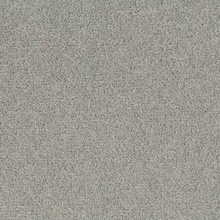 Desso Tarkett Palatino