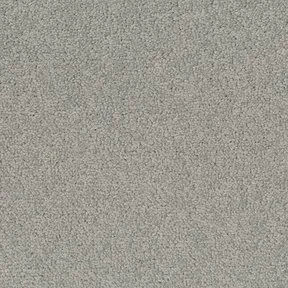 Desso Tarkett Palatino