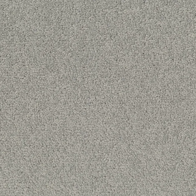 Desso Tarkett Palatino