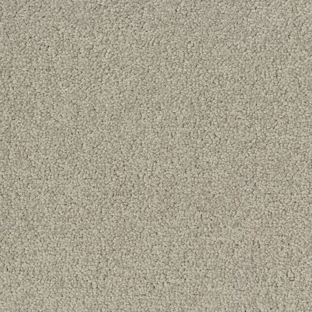 Desso Tarkett Palatino