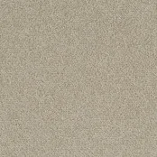 Desso Tarkett Palatino