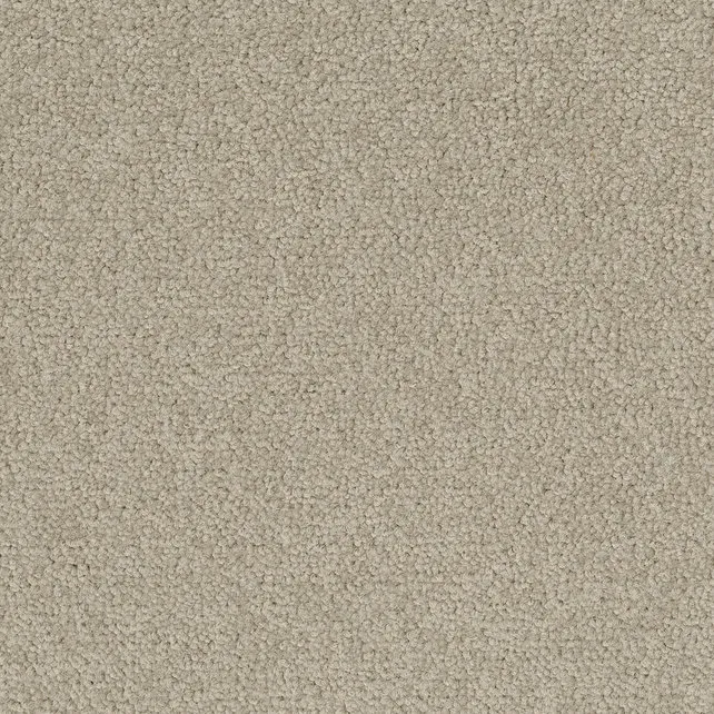 Desso Tarkett Palatino