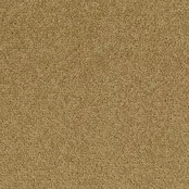 Desso Tarkett Palatino