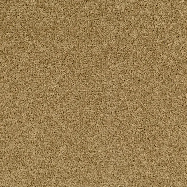 Desso Tarkett Palatino