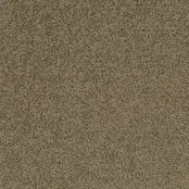 Desso Tarkett Palatino