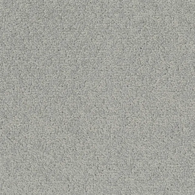 Desso Tarkett Palatino