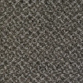 Desso Tarkett Protect