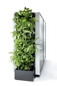 Green wall