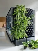 Green wall