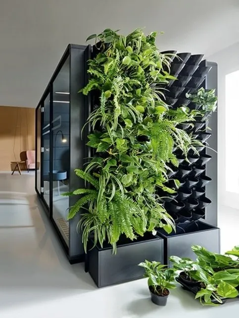 Green wall