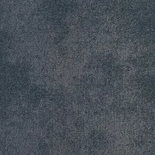 Desso Tarkett Serene