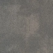 Desso Tarkett Serene