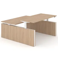 Elektrisch zit-sta bureau Motion duo