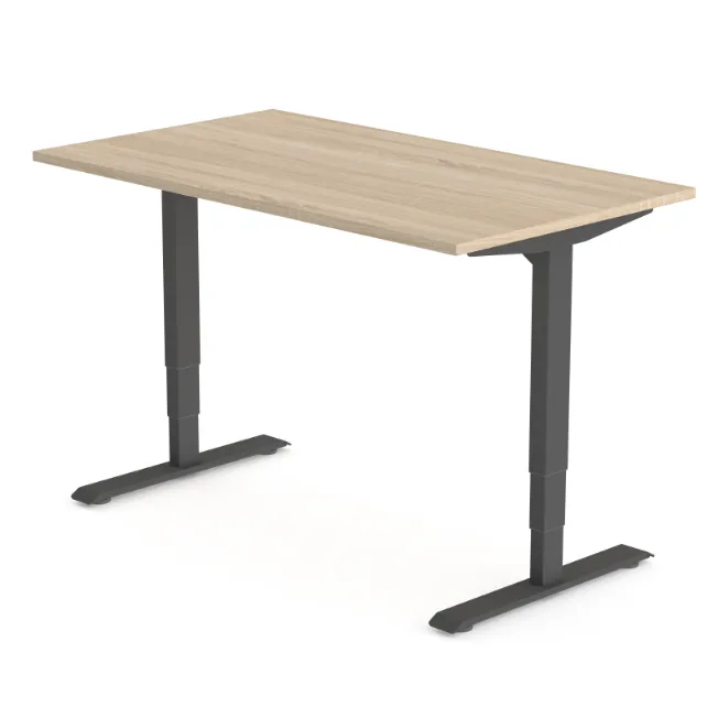 Elektrisch zit-sta bureau Ergo