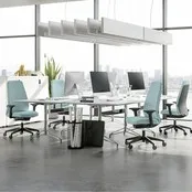 Interstuhl Every bureaustoel EV117