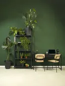 Kantinestoel Nero Open