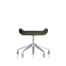 Silver  conferentiehocker