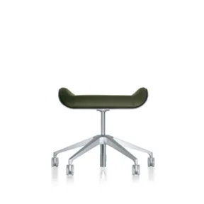 Silver  conferentiehocker