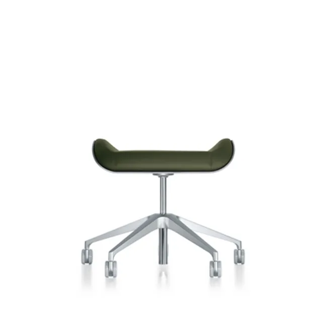 Silver  conferentiehocker