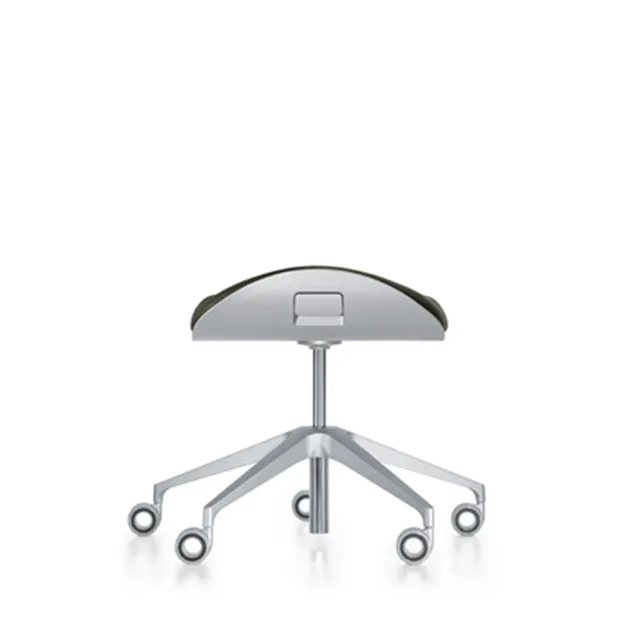 Silver  conferentiehocker