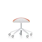 Silver  conferentiehocker