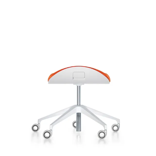 Silver  conferentiehocker