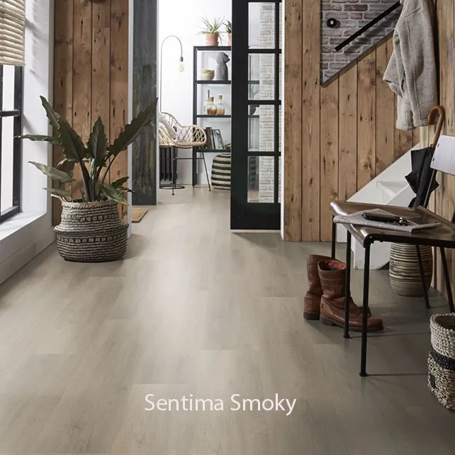 Ambiant Sentima Dryback