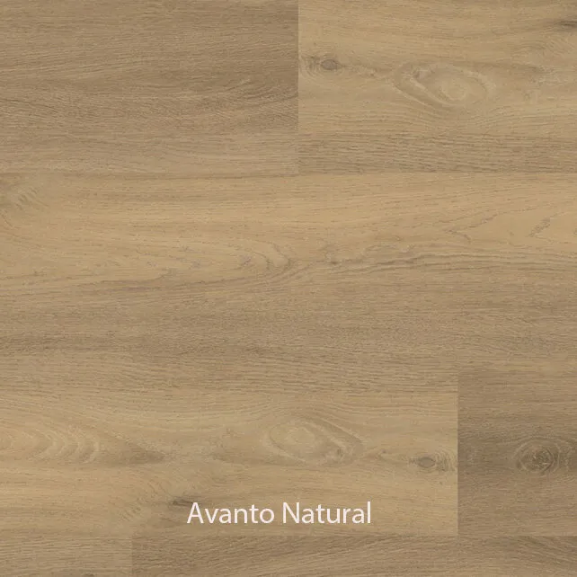 Ambiant Avanto Dryback