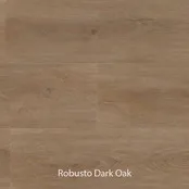 Ambiant Robusto Dryback