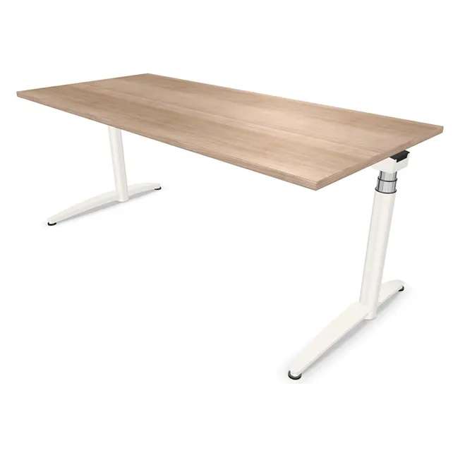 Palmberg Caldo vaste hoogte