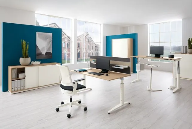 Palmberg Caldo vaste hoogte