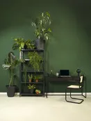 Designstoel Elia met armleuningen